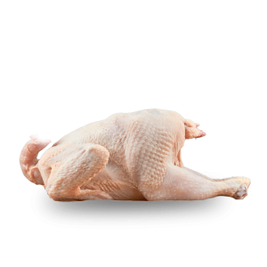 Kampung Chicken