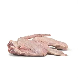 Duck Wing