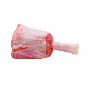 Hindshank