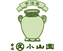logo footer